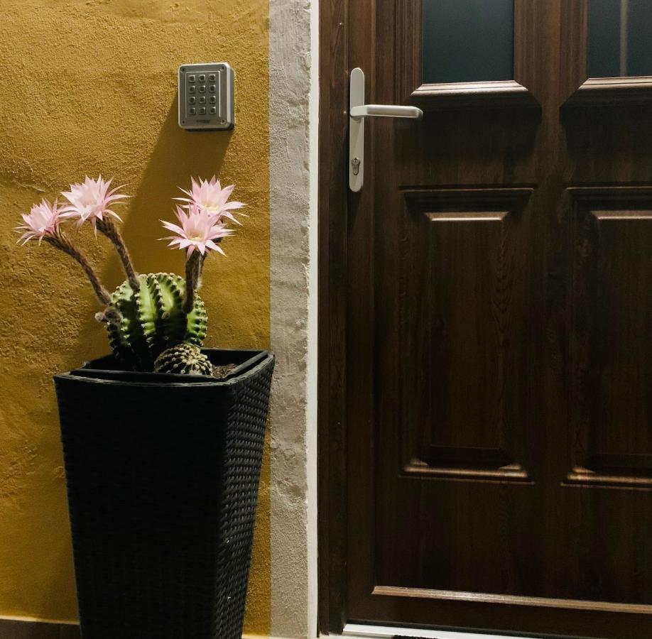 Bed and Breakfast Bb Borgo Biella Candelo Exterior foto